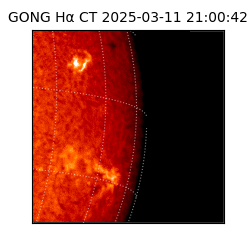 gong - 2025-03-11T21:00:42