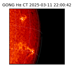 gong - 2025-03-11T22:00:42