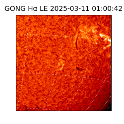 gong - 2025-03-11T01:00:42