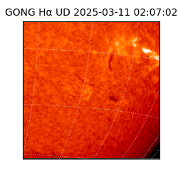 gong - 2025-03-11T02:07:02