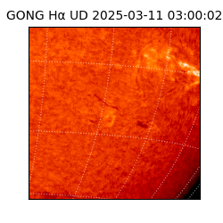 gong - 2025-03-11T03:00:02