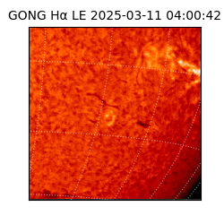 gong - 2025-03-11T04:00:42