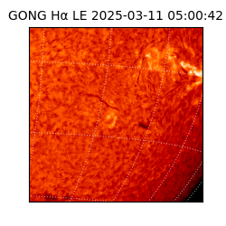 gong - 2025-03-11T05:00:42