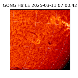 gong - 2025-03-11T07:00:42