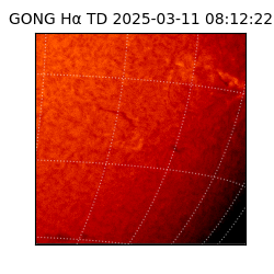 gong - 2025-03-11T08:12:22