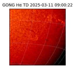 gong - 2025-03-11T09:00:22