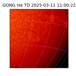 gong - 2025-03-11T11:00:22