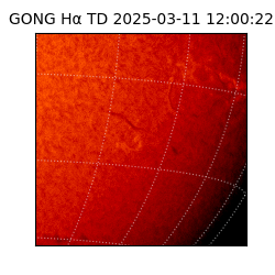 gong - 2025-03-11T12:00:22