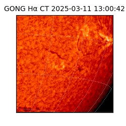 gong - 2025-03-11T13:00:42