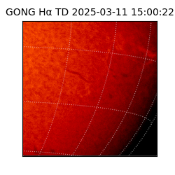 gong - 2025-03-11T15:00:22
