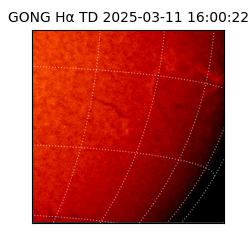 gong - 2025-03-11T16:00:22