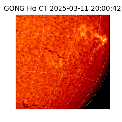 gong - 2025-03-11T20:00:42