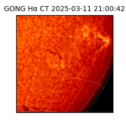 gong - 2025-03-11T21:00:42