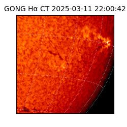 gong - 2025-03-11T22:00:42