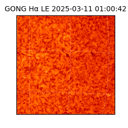 gong - 2025-03-11T01:00:42