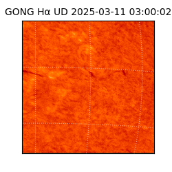 gong - 2025-03-11T03:00:02