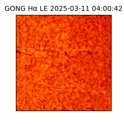 gong - 2025-03-11T04:00:42