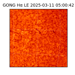 gong - 2025-03-11T05:00:42
