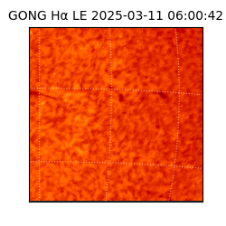 gong - 2025-03-11T06:00:42