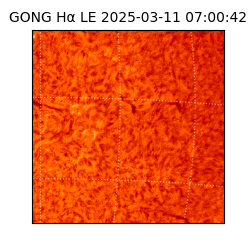 gong - 2025-03-11T07:00:42