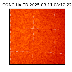 gong - 2025-03-11T08:12:22