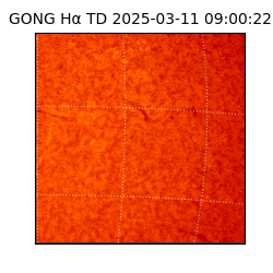 gong - 2025-03-11T09:00:22