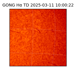 gong - 2025-03-11T10:00:22