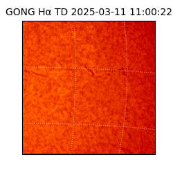 gong - 2025-03-11T11:00:22