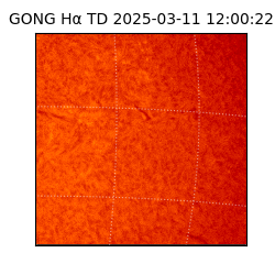 gong - 2025-03-11T12:00:22