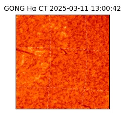 gong - 2025-03-11T13:00:42