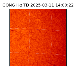 gong - 2025-03-11T14:00:22