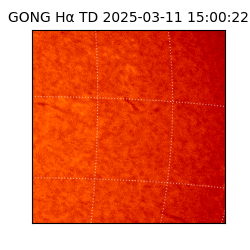 gong - 2025-03-11T15:00:22