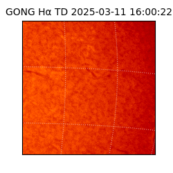 gong - 2025-03-11T16:00:22