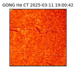gong - 2025-03-11T19:00:42