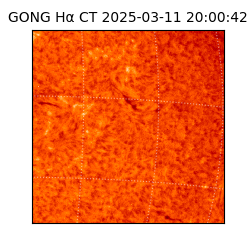 gong - 2025-03-11T20:00:42