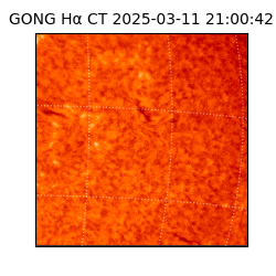 gong - 2025-03-11T21:00:42