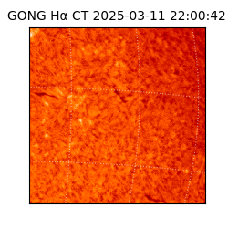 gong - 2025-03-11T22:00:42