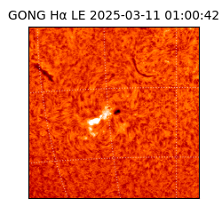 gong - 2025-03-11T01:00:42