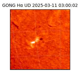 gong - 2025-03-11T03:00:02