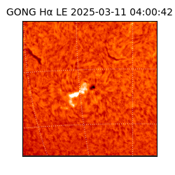 gong - 2025-03-11T04:00:42