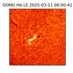 gong - 2025-03-11T06:00:42