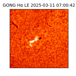 gong - 2025-03-11T07:00:42