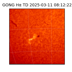 gong - 2025-03-11T08:12:22