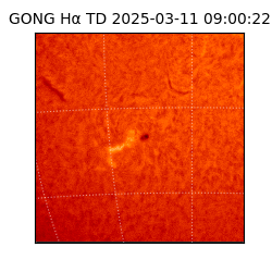 gong - 2025-03-11T09:00:22