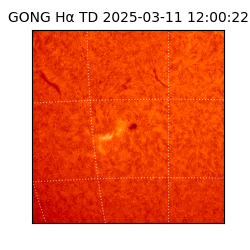 gong - 2025-03-11T12:00:22