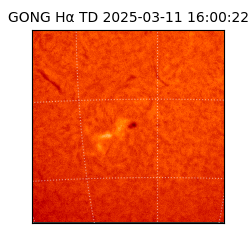 gong - 2025-03-11T16:00:22