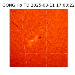 gong - 2025-03-11T17:00:22