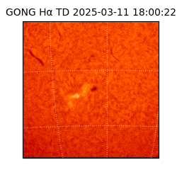 gong - 2025-03-11T18:00:22