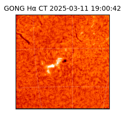 gong - 2025-03-11T19:00:42