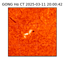 gong - 2025-03-11T20:00:42